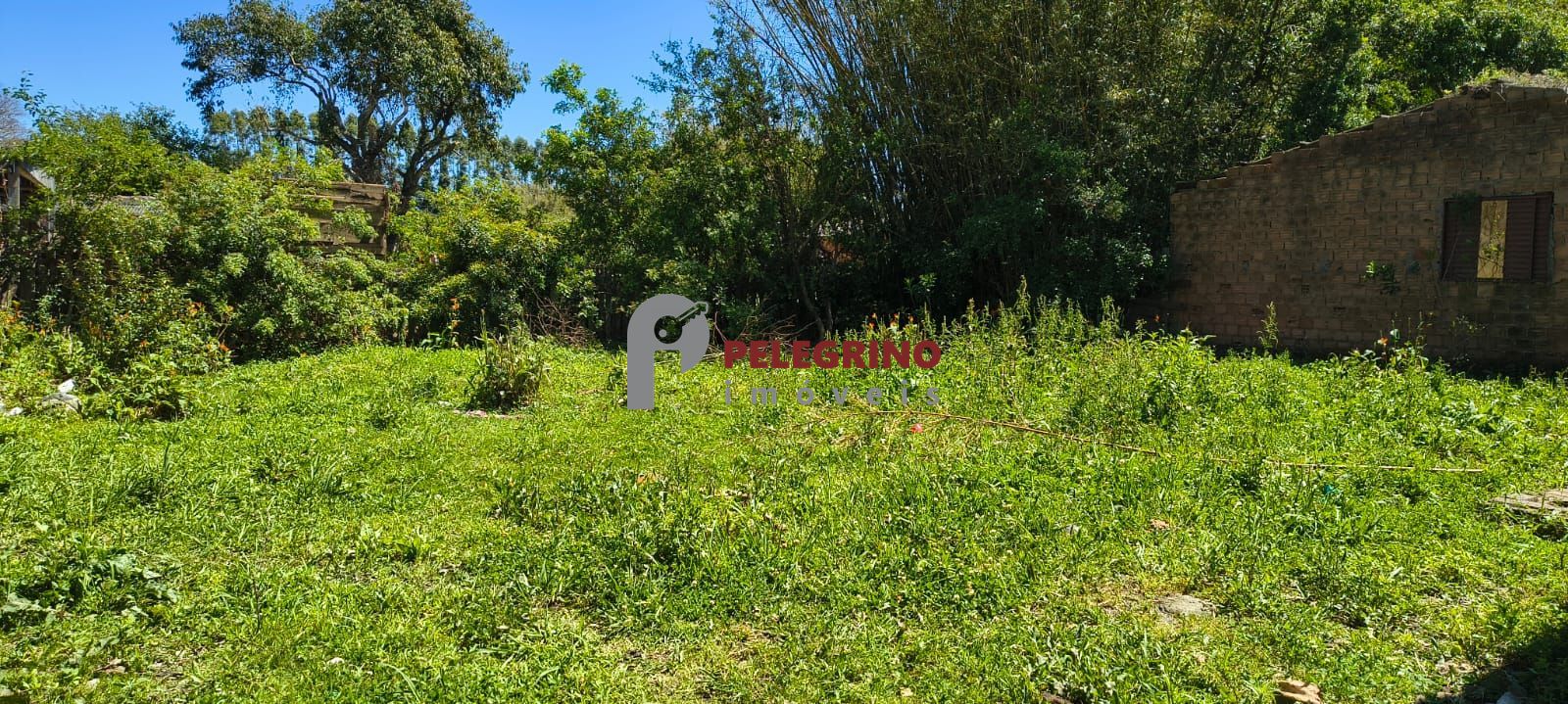 Pelegrino Imóveis vende casa no centro de Tapes