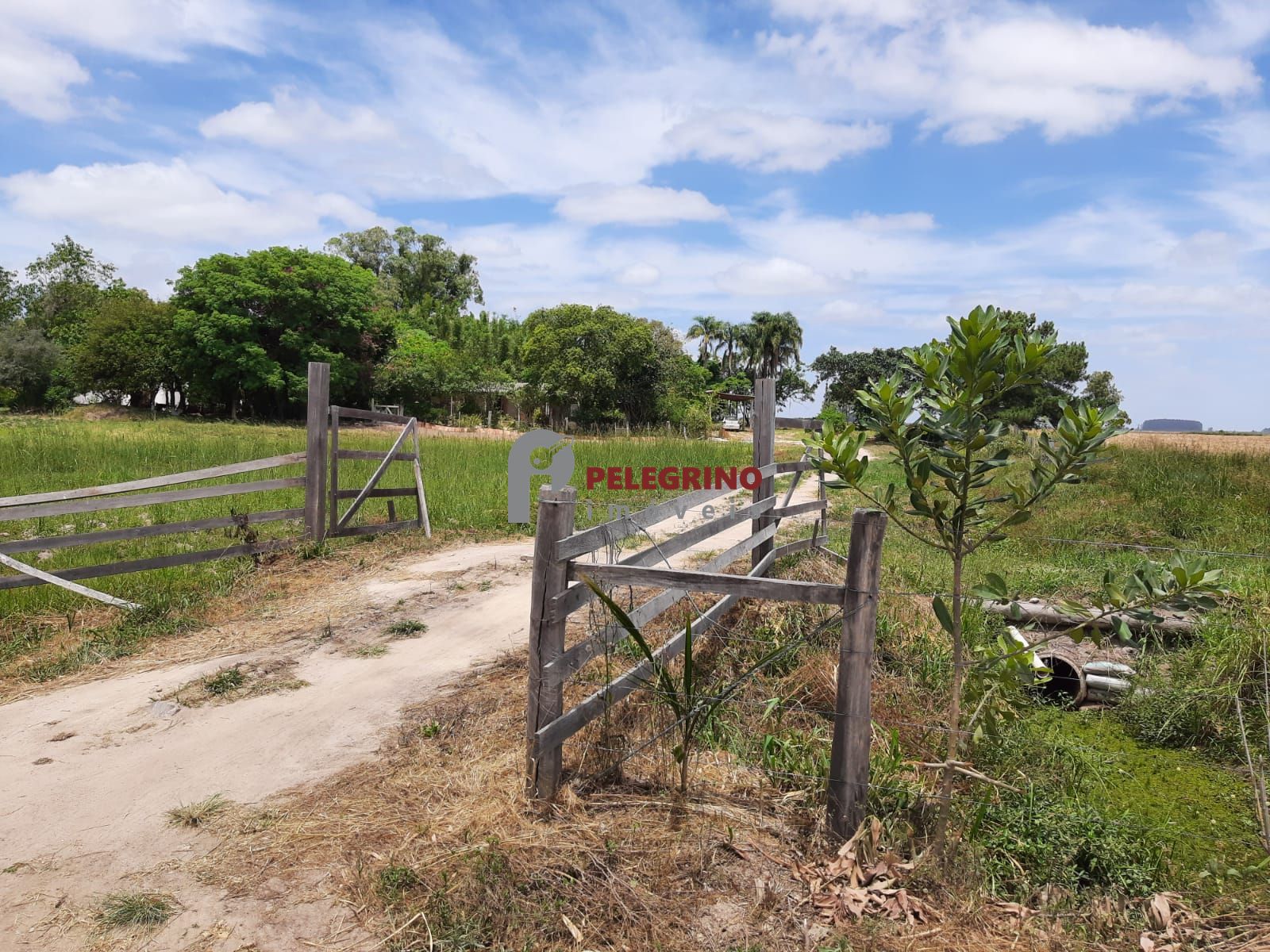 Pelegrino imóveis vende chacára em tapes