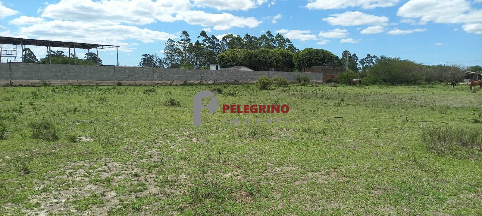 Pelegrino Imóveis vende sítio no Balneário Rebello em Tapes