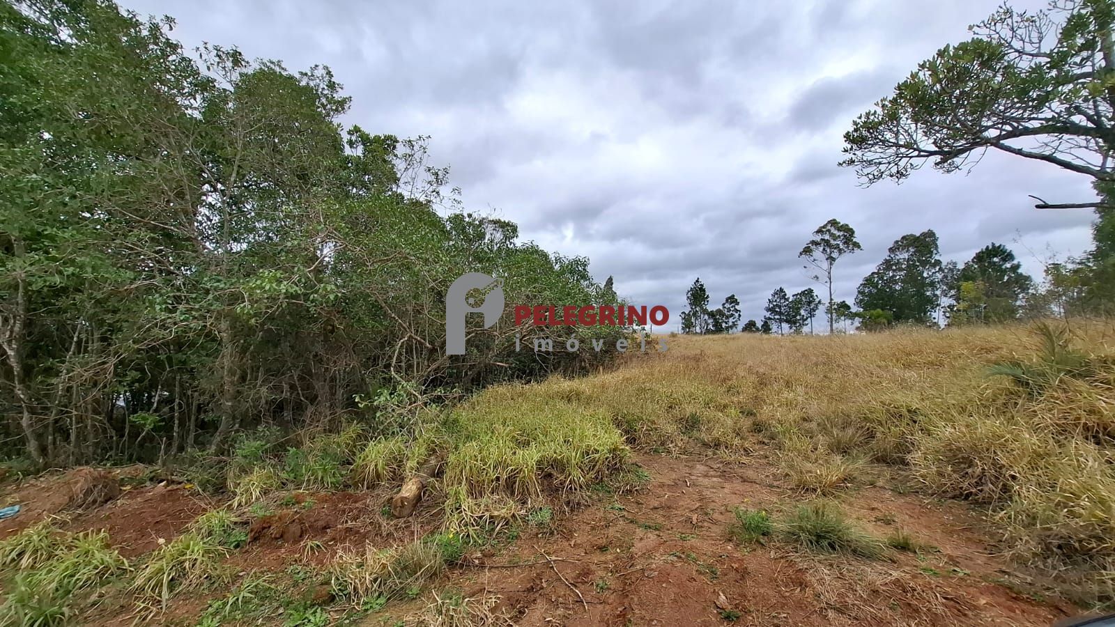 Chácara 2 dormitórios à venda zona rural tapes/rs