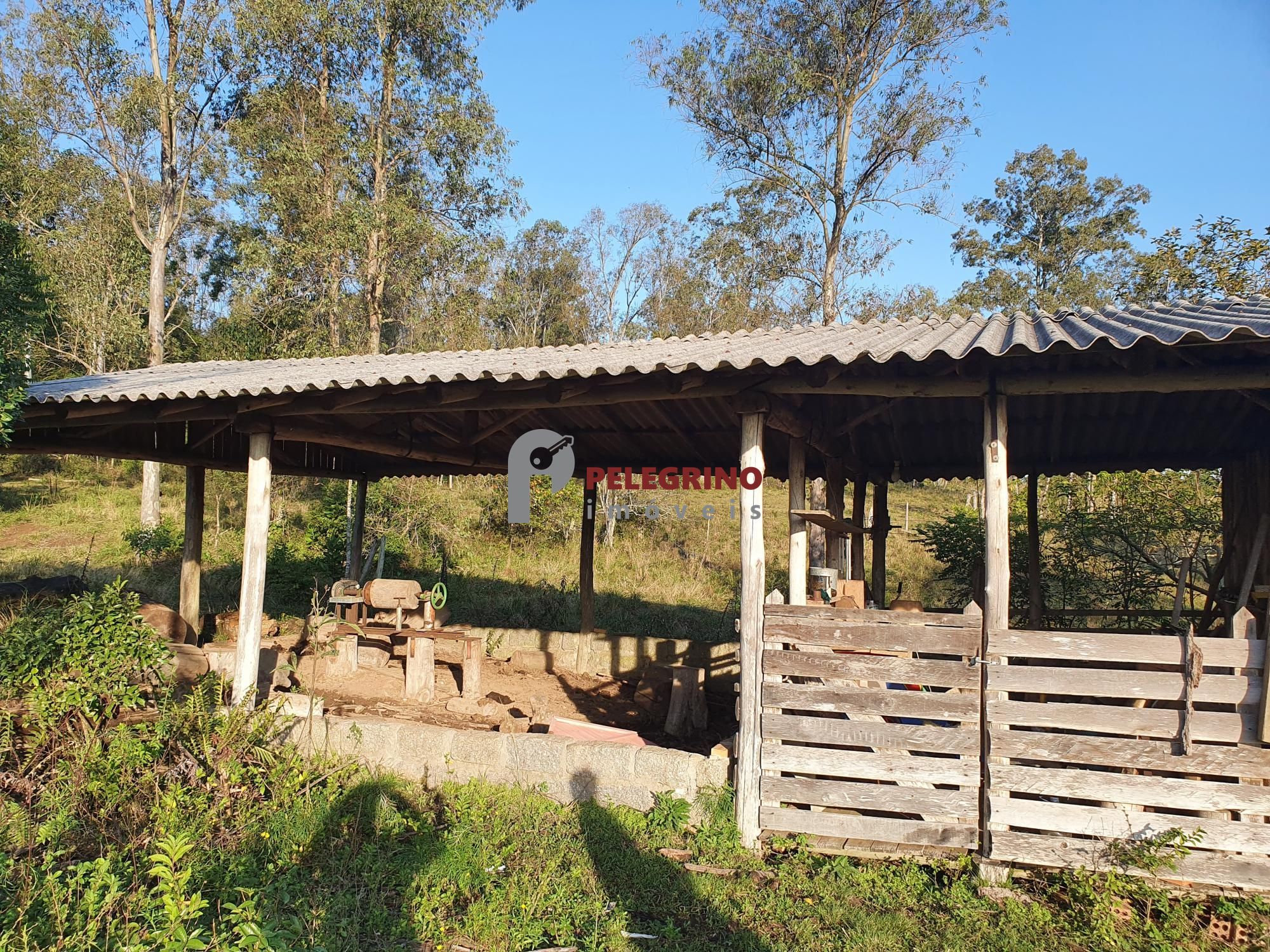 Pelegrino Imóveis vende chacára na BR 116