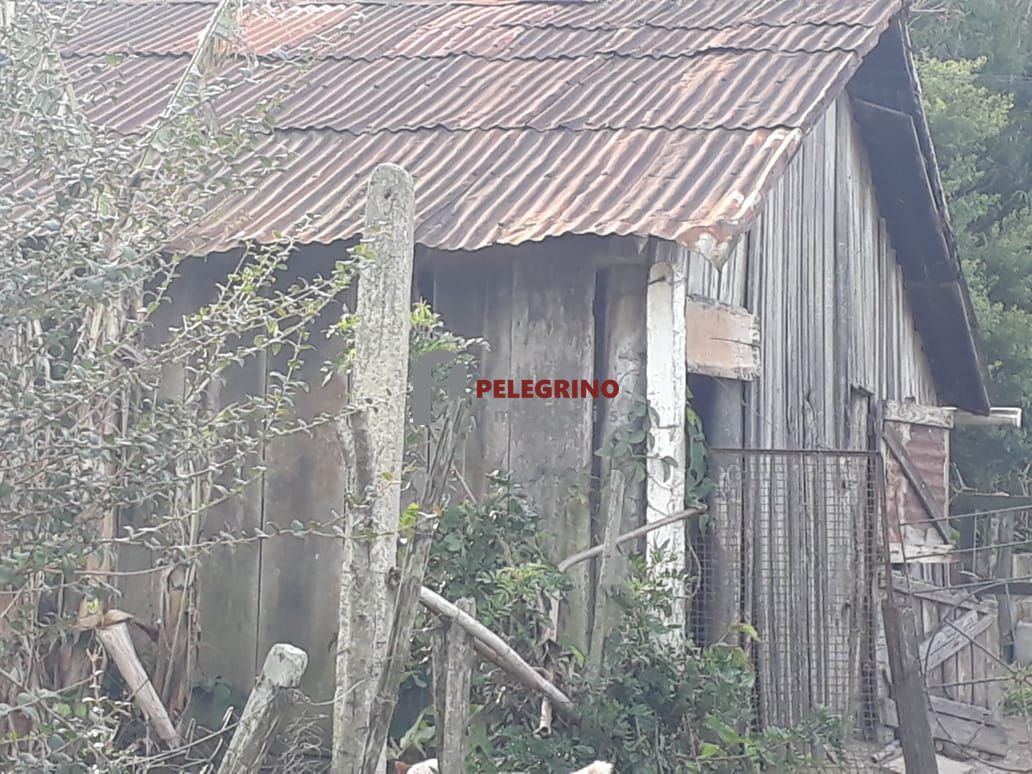 PELEGRINO IMÓVEIS vende sitio no Centro em Tapes RS
