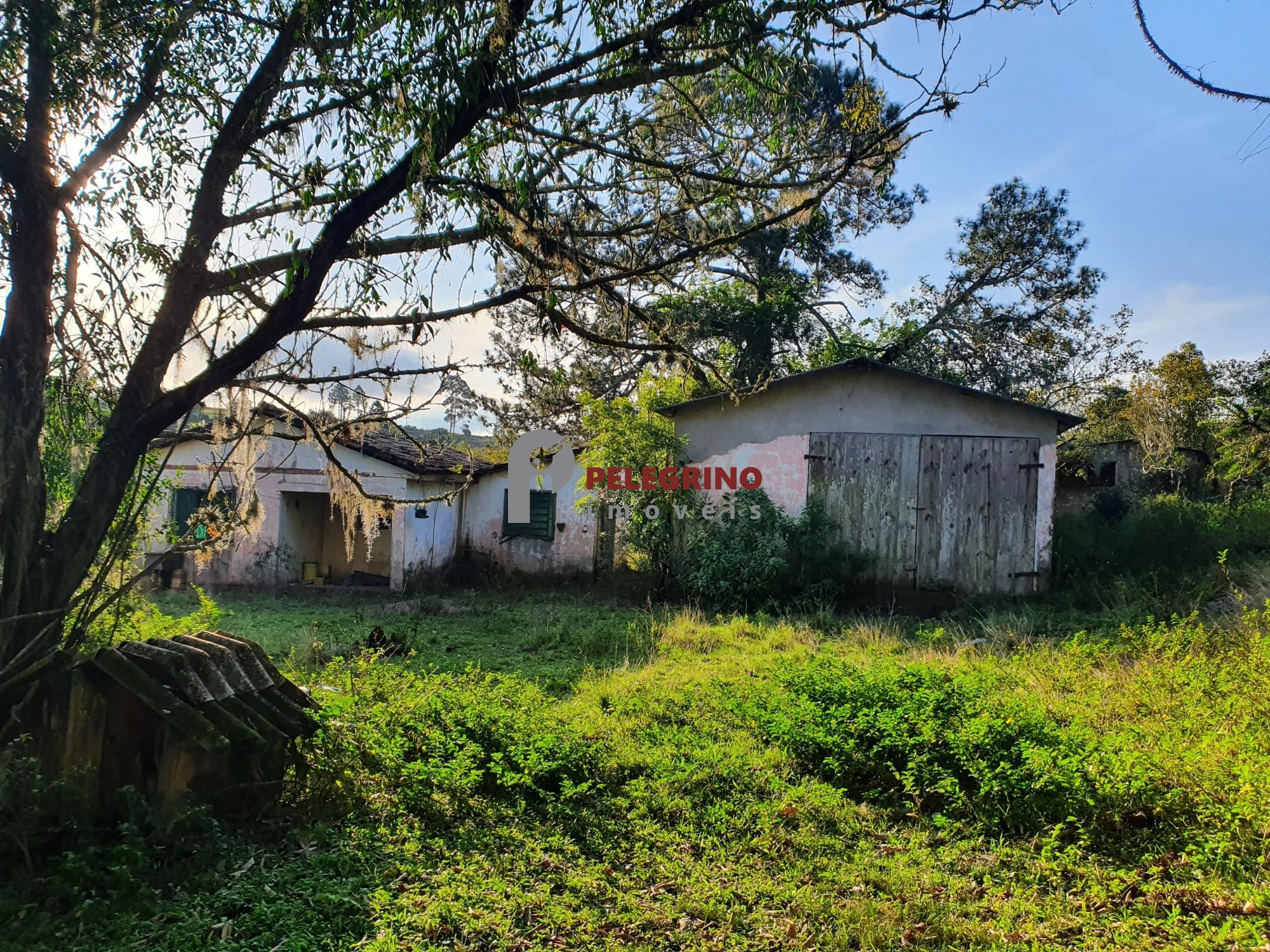 Pelegrino Imóveis vende chacára na BR 116