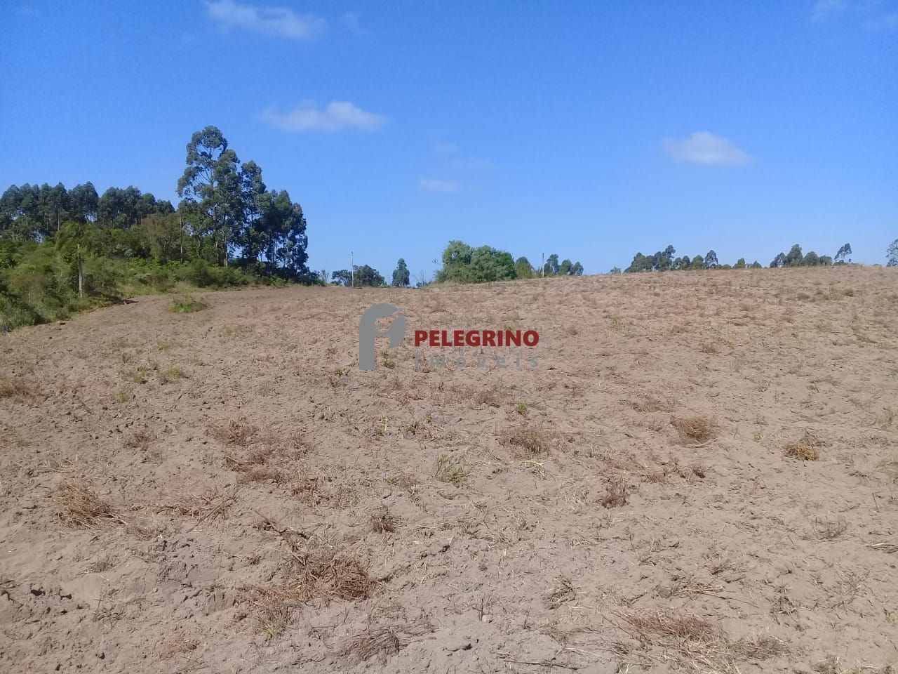 Pelegrino imóveis vende propriedade em sentinela do sul