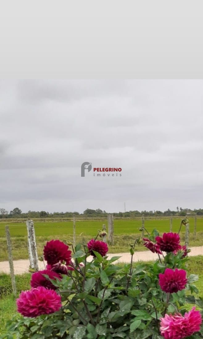 Pelegrino Imóveis vende sitio na avenida camaqua em Tapes