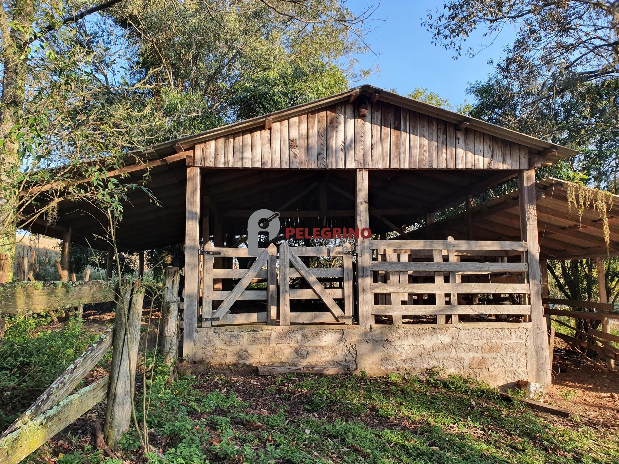 Pelegrino Imóveis vende chacára na BR 116
