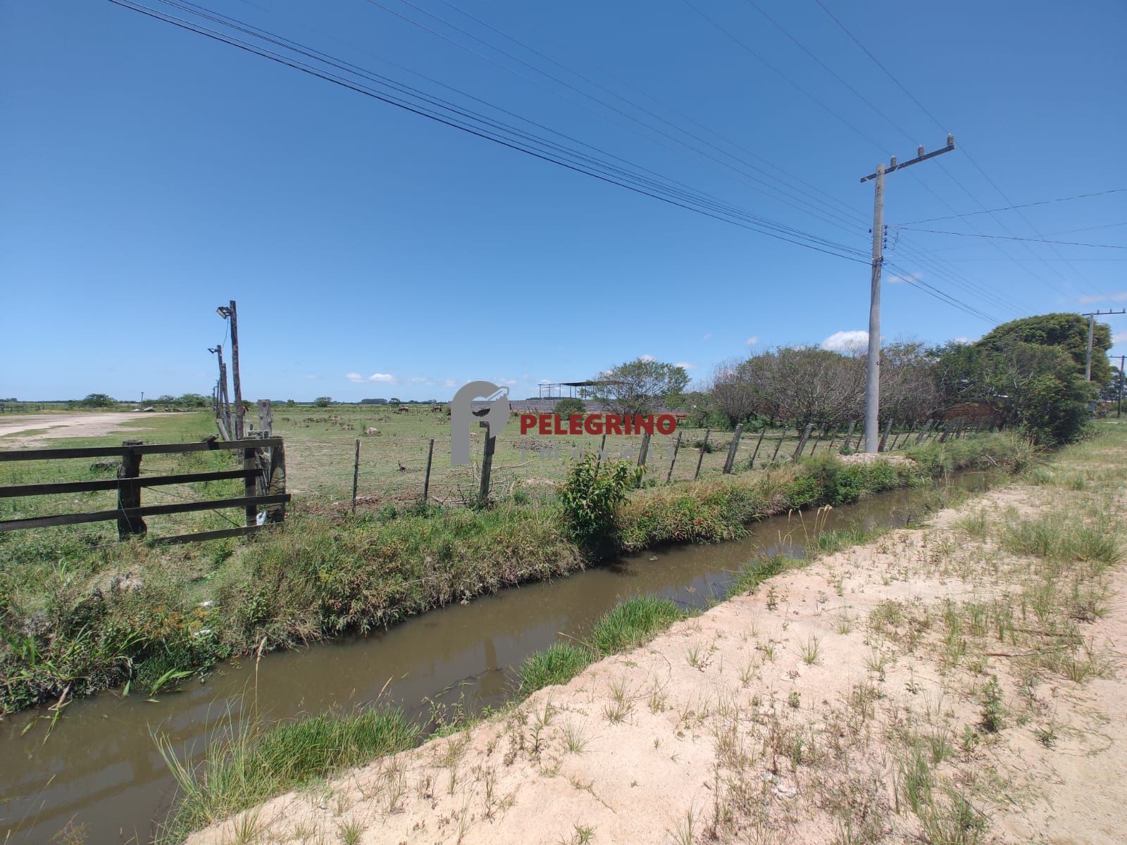 Pelegrino Imóveis vende sítio no Balneário Rebello em Tapes