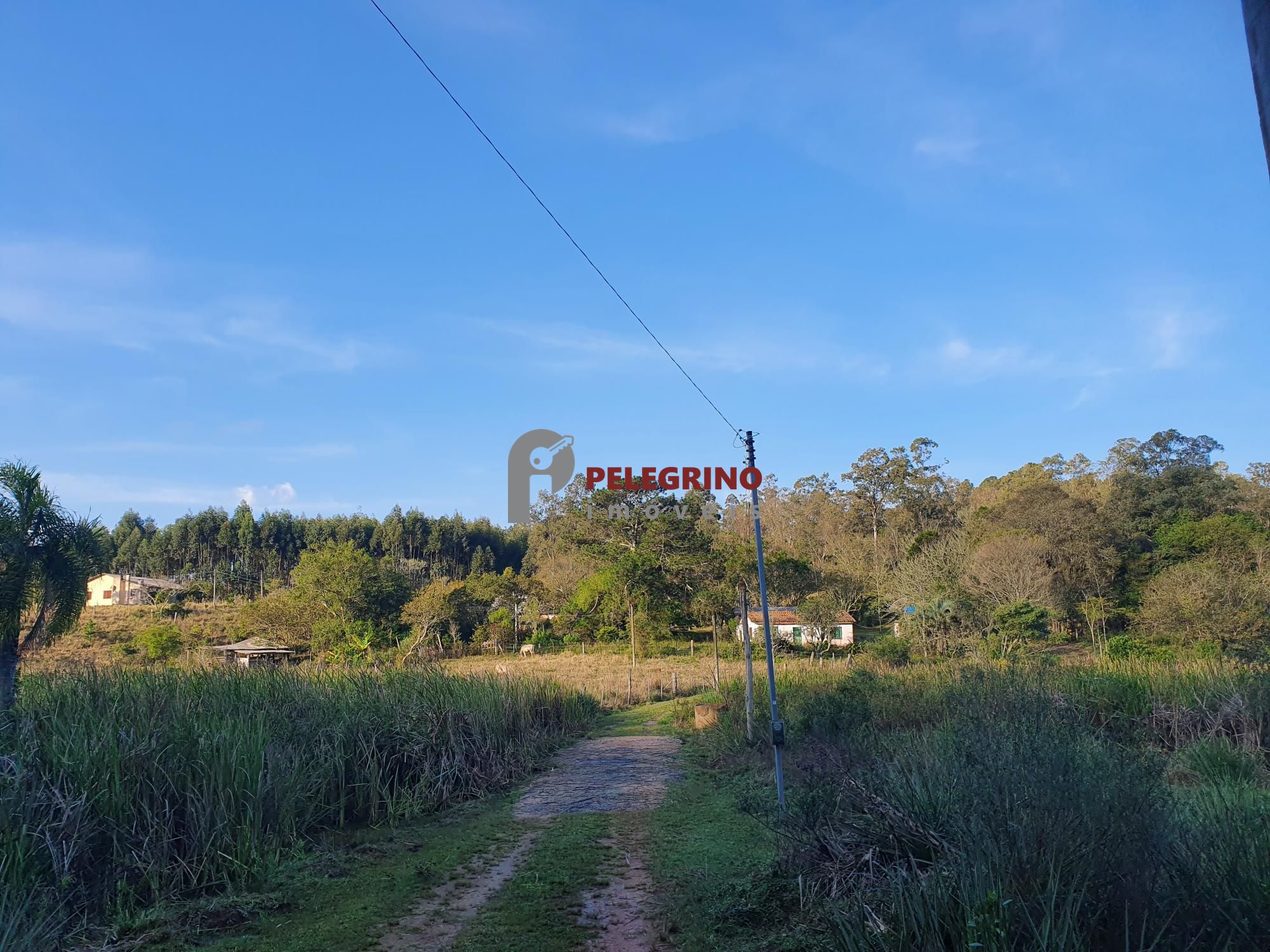 Pelegrino Imóveis vende chacára na BR 116