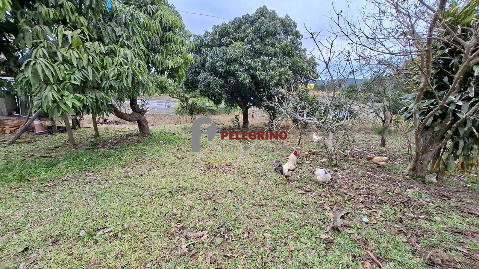 Chácara 2 dormitórios à venda zona rural tapes/rs