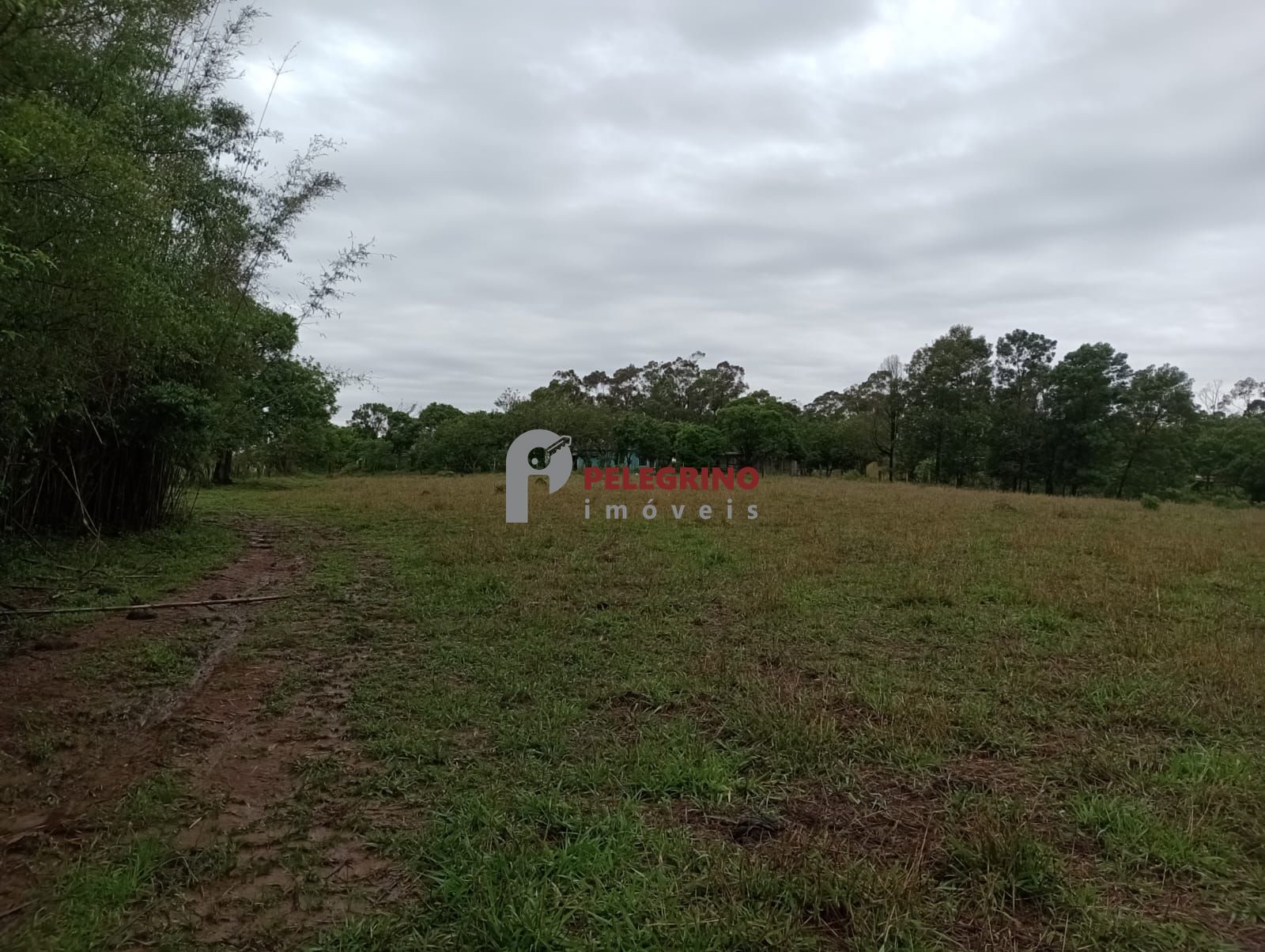 Pelegrino imóveis vende sitio em sentinela do sul