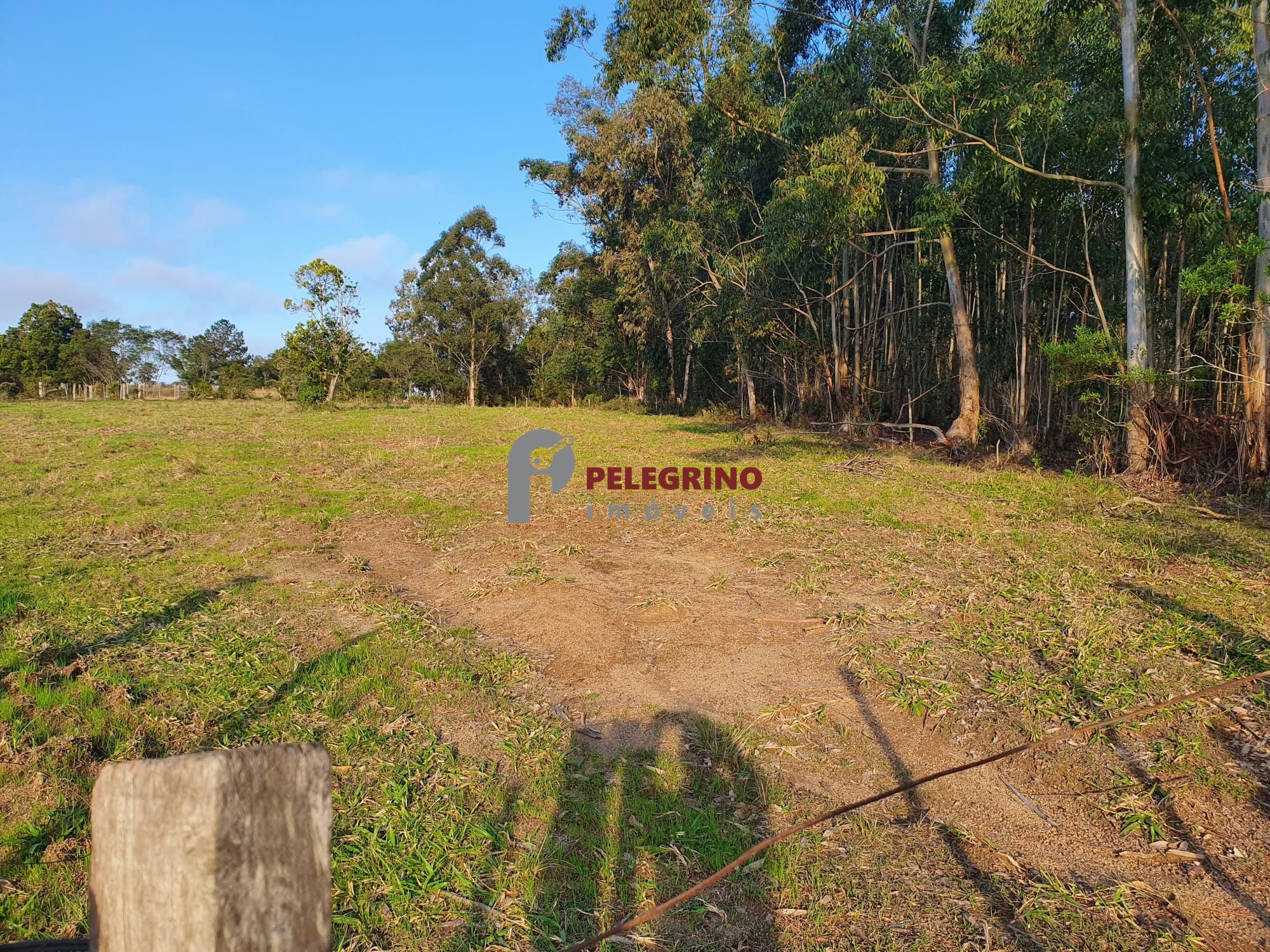 Pelegrino imóveis vende chacára na br 116