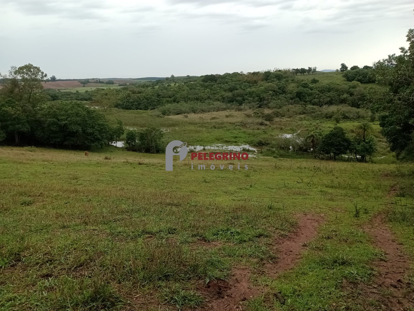 Pelegrino imóveis vende sitio em sentinela do sul