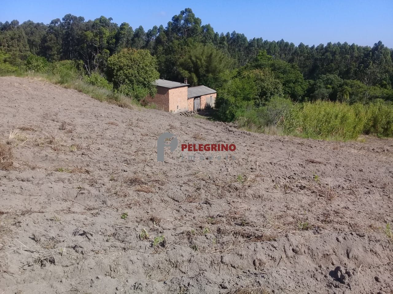 Pelegrino imóveis vende propriedade em sentinela do sul