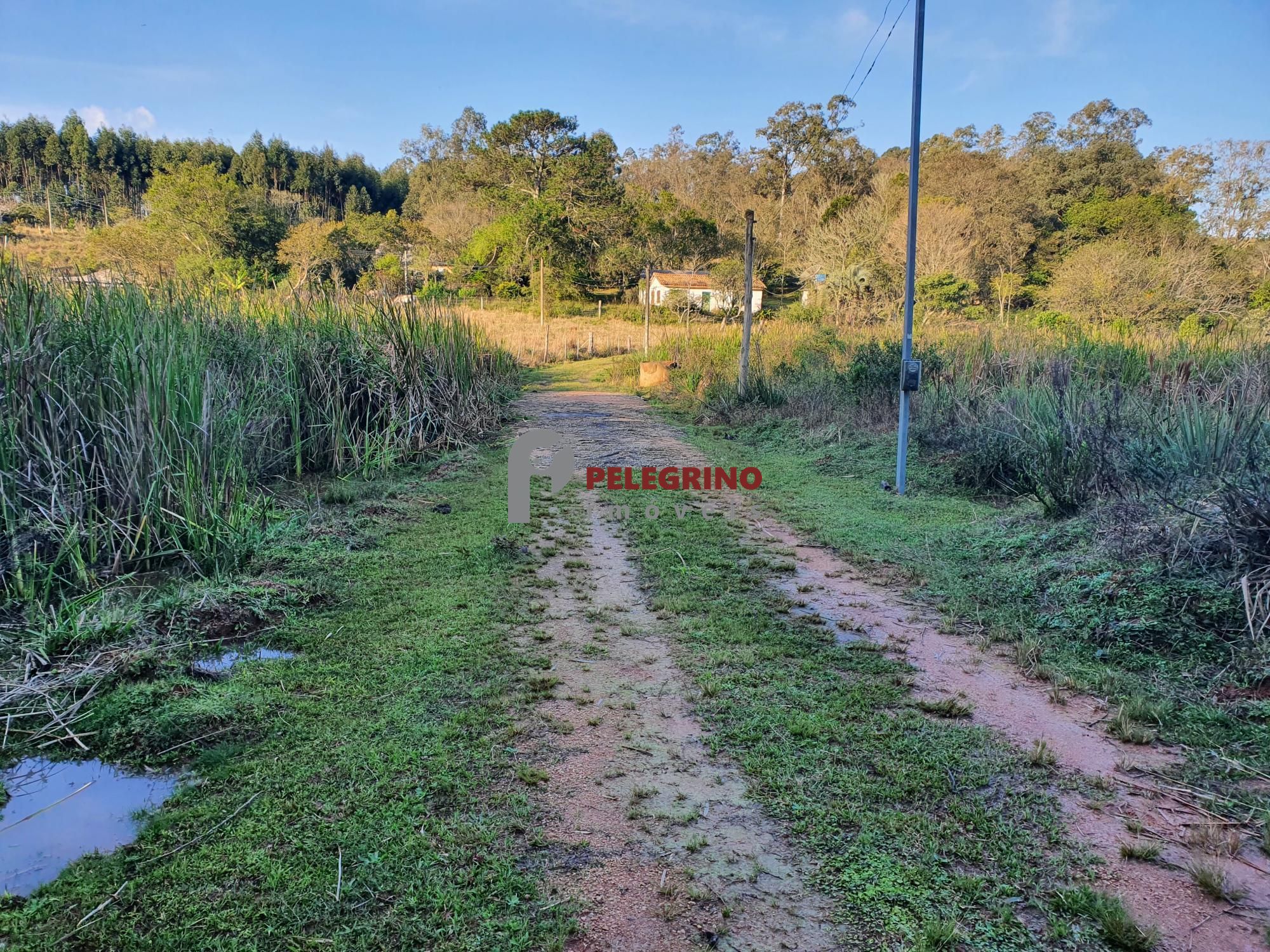 Pelegrino Imóveis vende chacára na BR 116