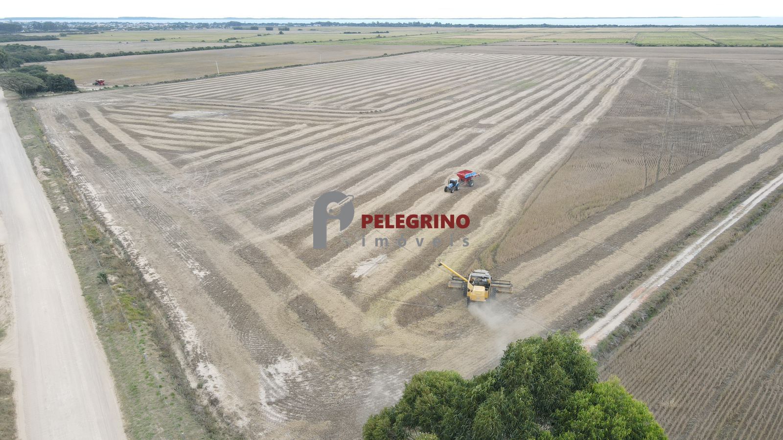 Pelegrino imóveis vende chácara em tapes - foto 1