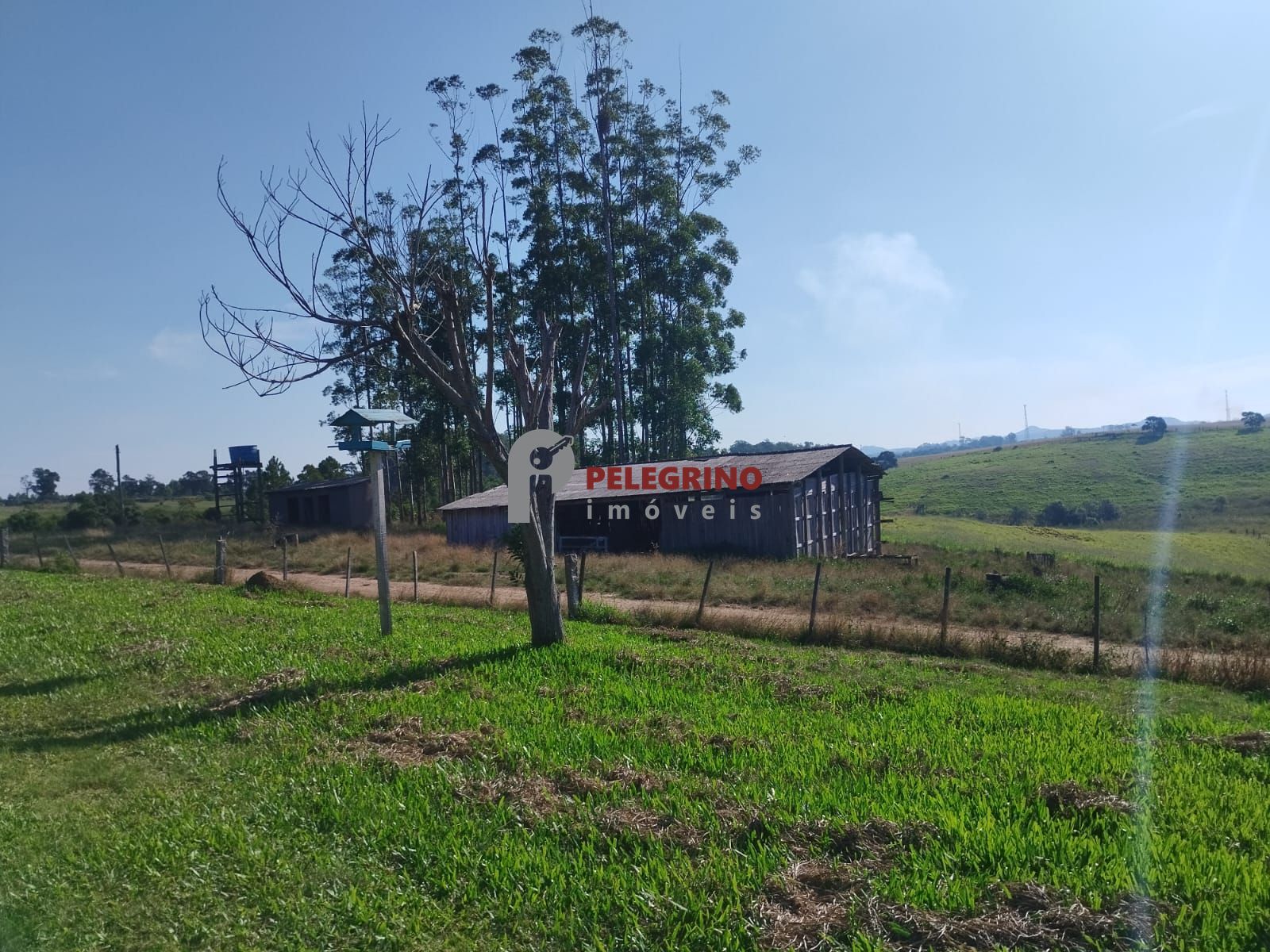 Pelegrino imóveis vende chácara em tapes