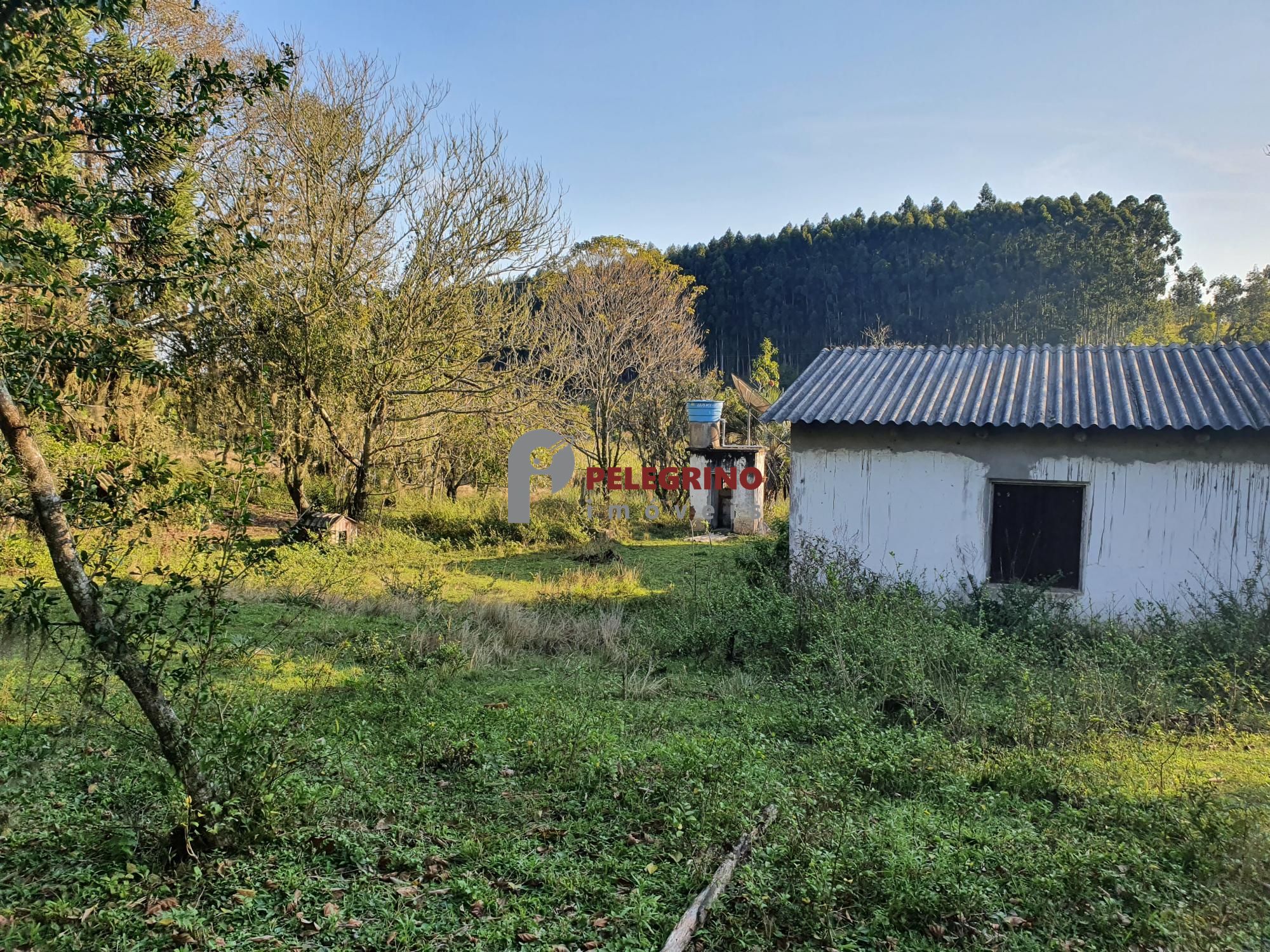Pelegrino Imóveis vende chacára na BR 116