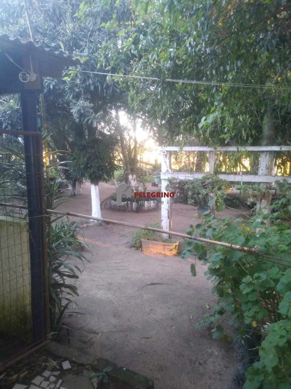Pelegrino imóveis vende sítio em tapes - foto 9