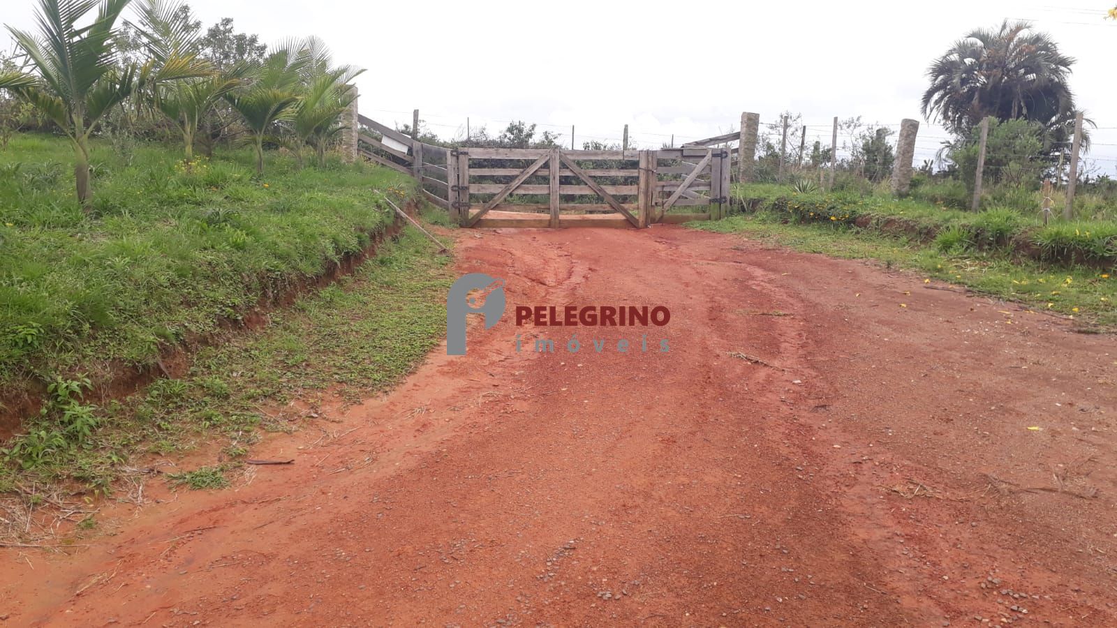 Pelegrino imóveis vende propriedade em sentinela