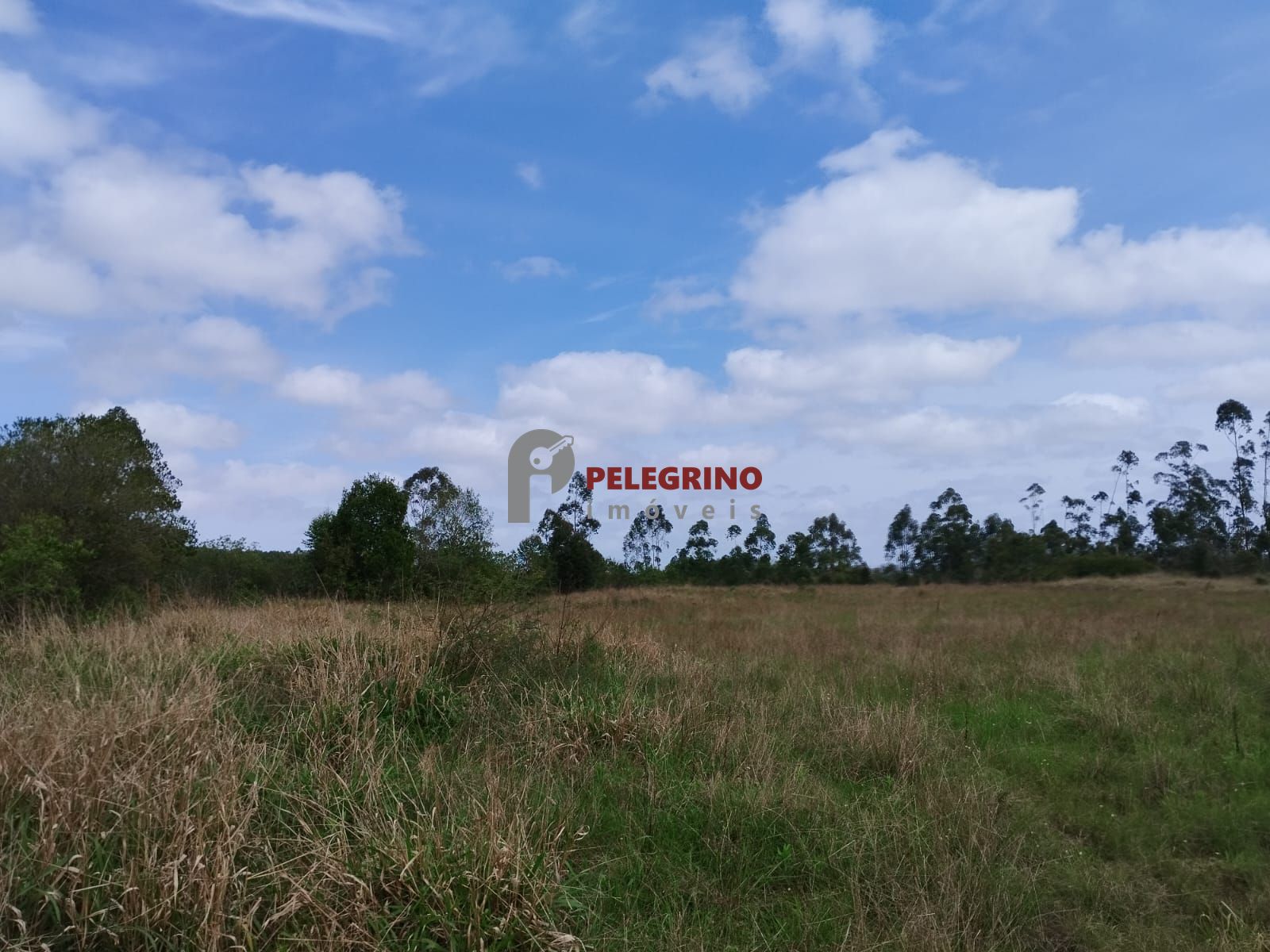Pelegrino Imóveis vende Chácara em Tapes