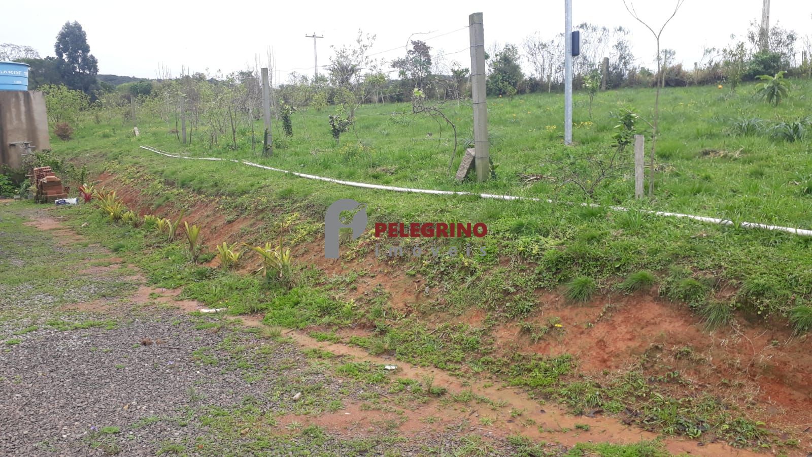 Pelegrino imóveis vende propriedade em sentinela