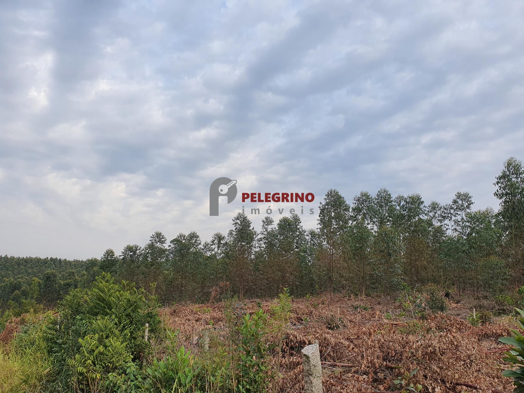 Pelegrino imóveis vende chácara em tapes