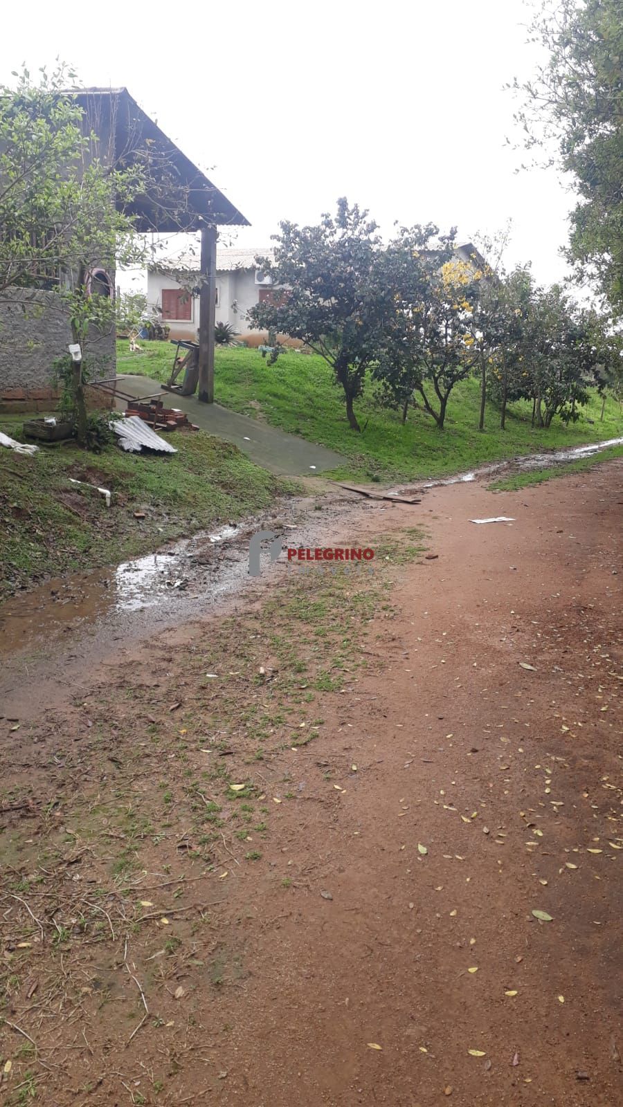 Pelegrino imóveis vende propriedade em sentinela