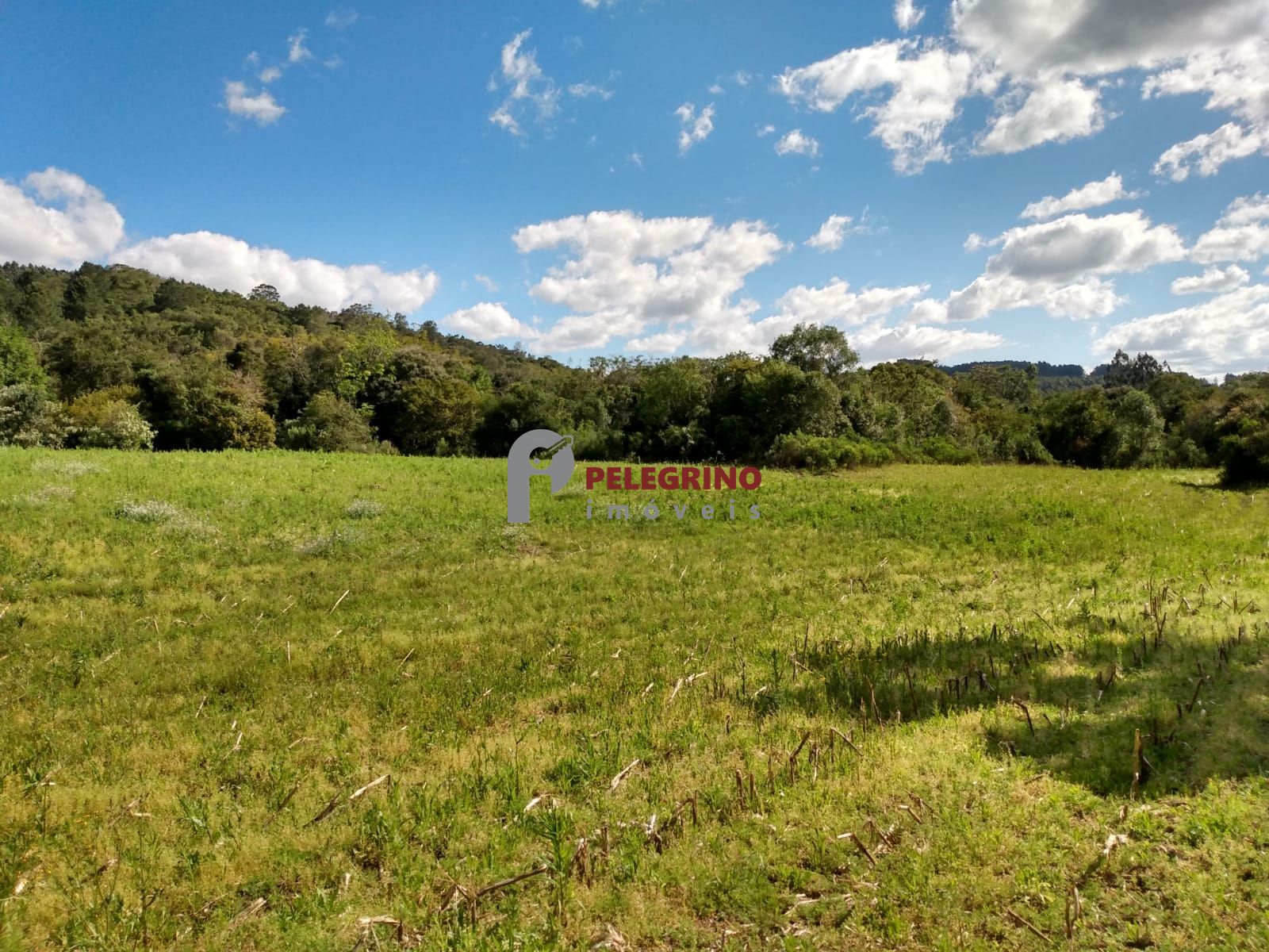 Vende sítio de 90,5948 hectares a 6km do centro de cerro gra