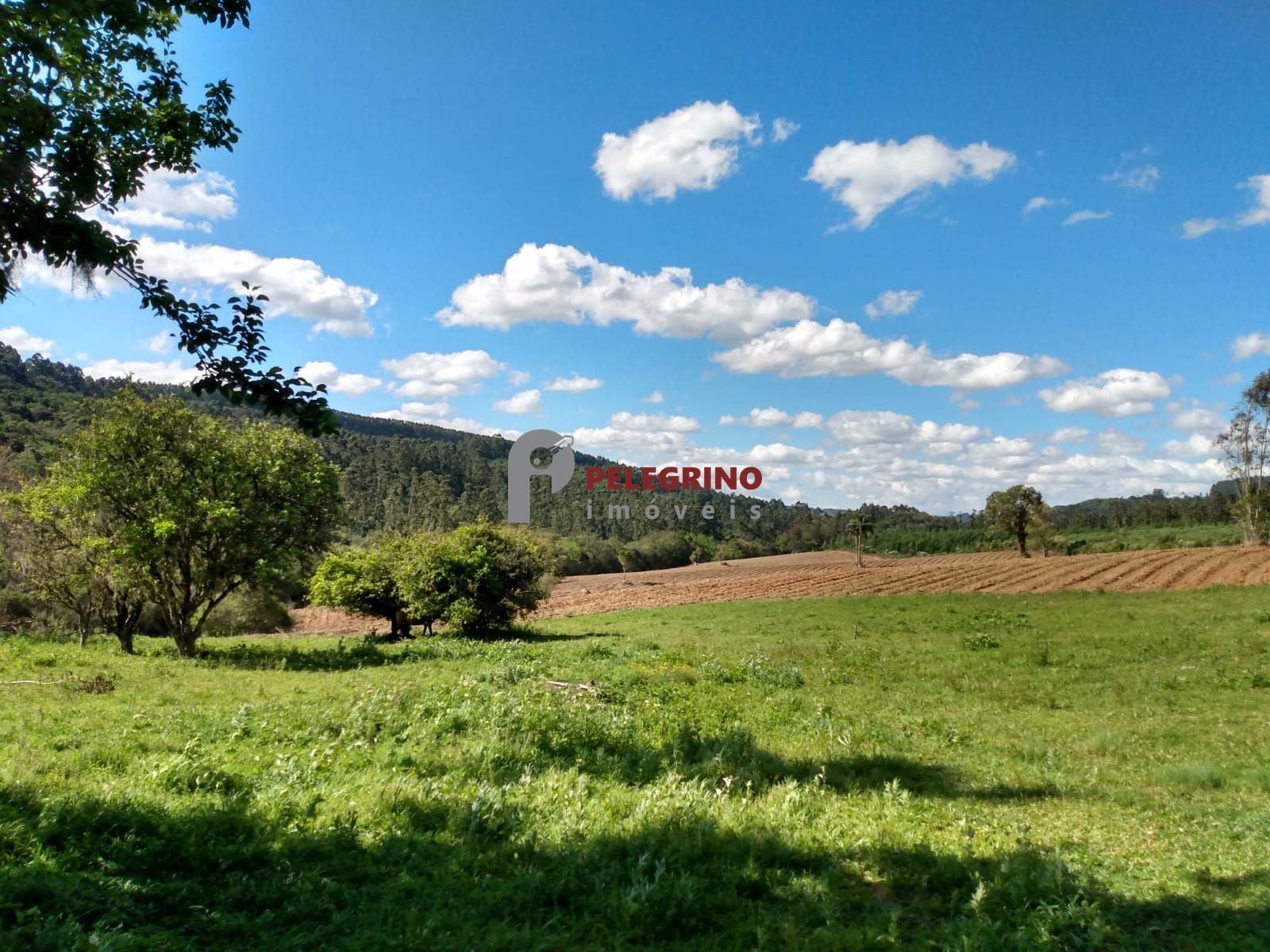 Vende sítio de 90,5948 hectares a 6km do centro de cerro gra