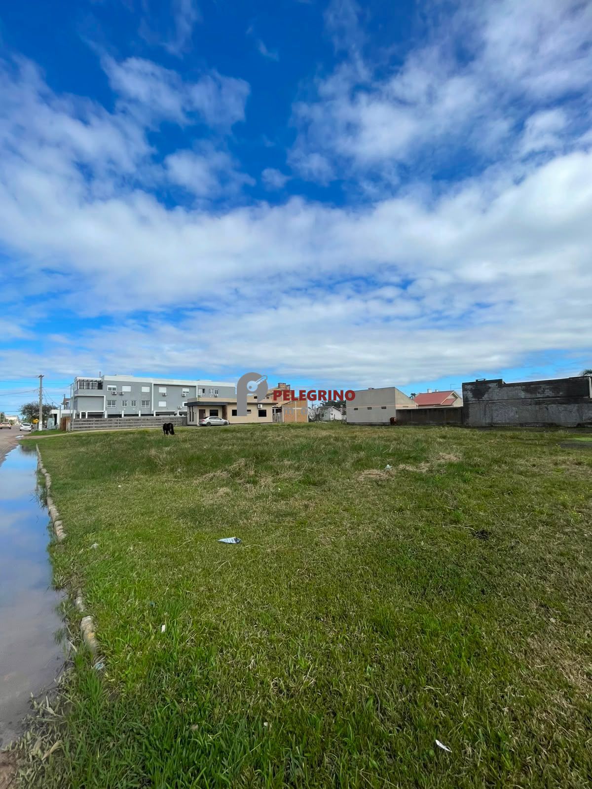 Pelegrino imóveis vende terreno no bairro pontal em tapes - foto 2
