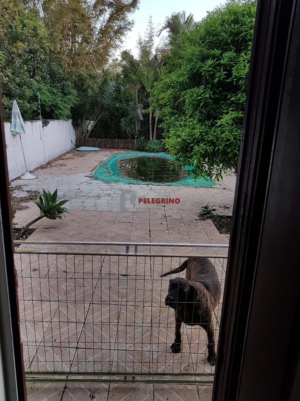 Pelegrino Imóveis vende ótima residência no Centro de Tapes