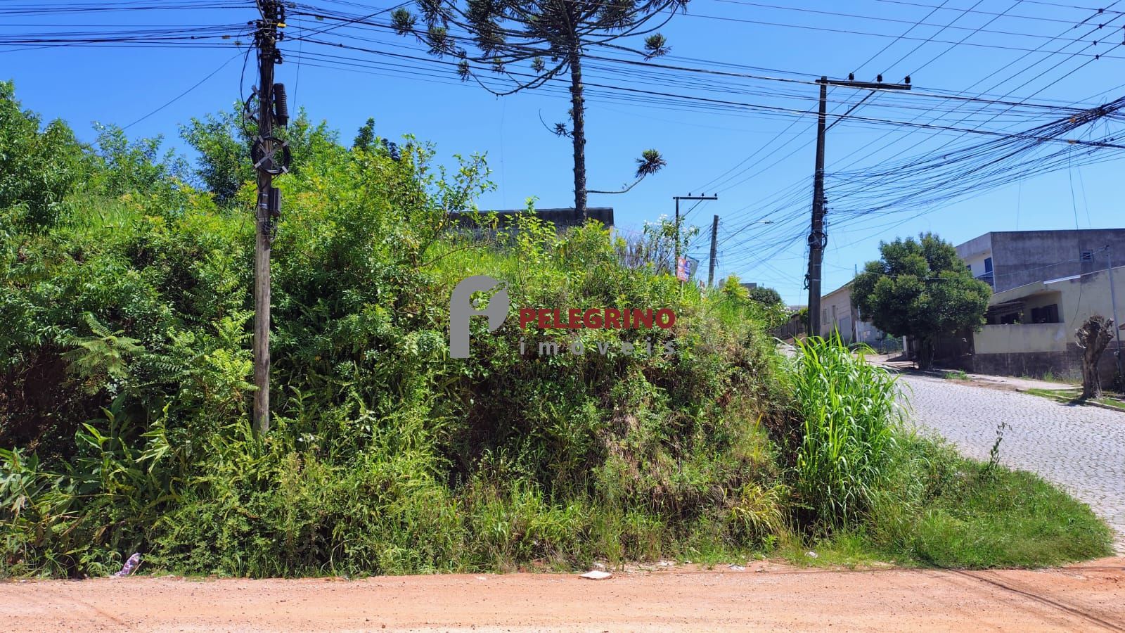 Pelegrino imóveis vende terreno em camaquã