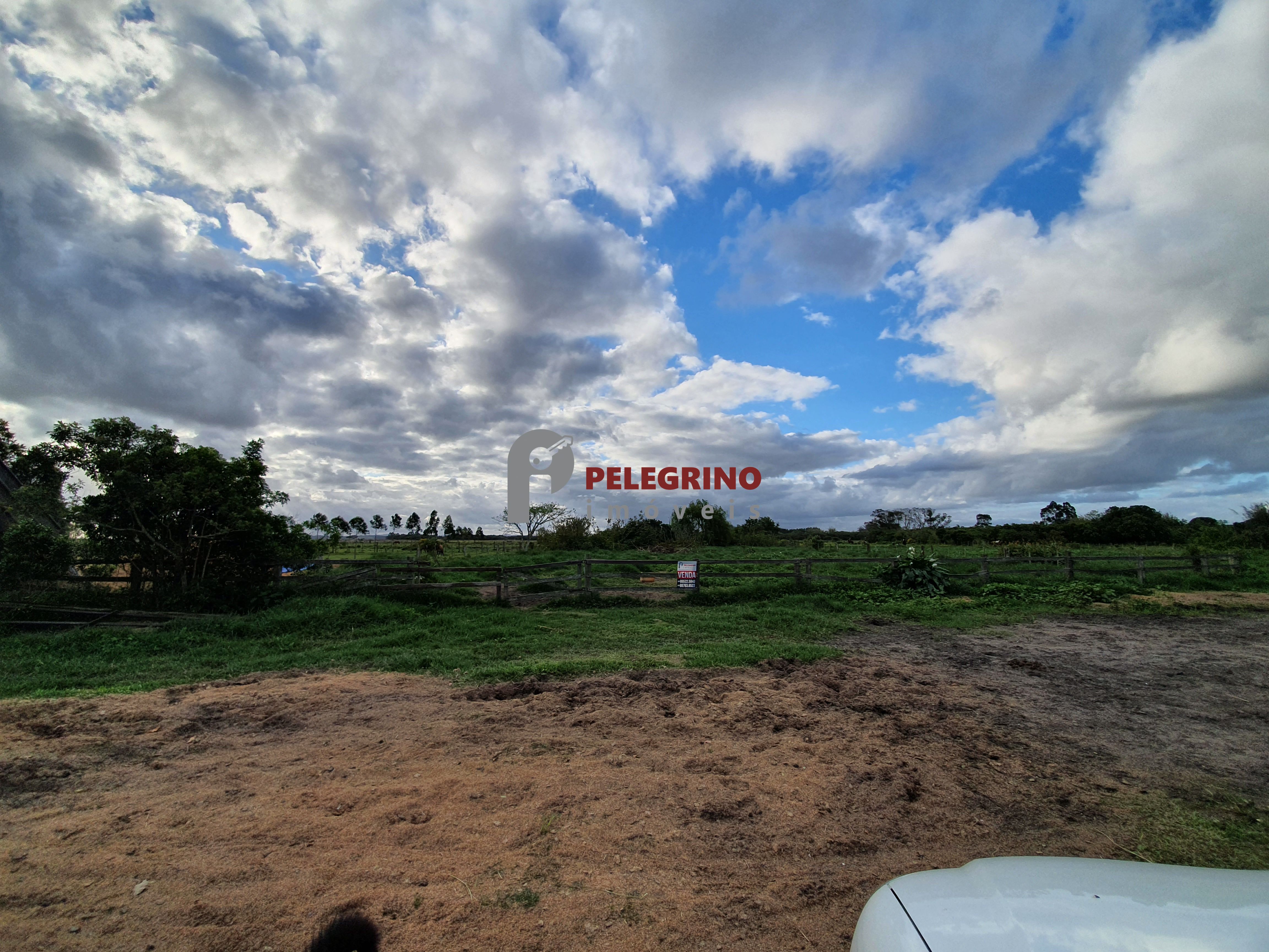 Pelegrino Imóveis vende sítio em Tapes