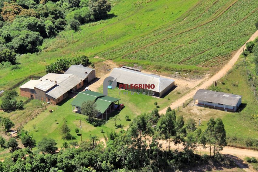 Pelegrino imóveis vende chácara com 8 hectares