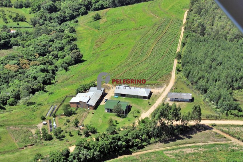 Pelegrino imóveis vende chácara com 8 hectares