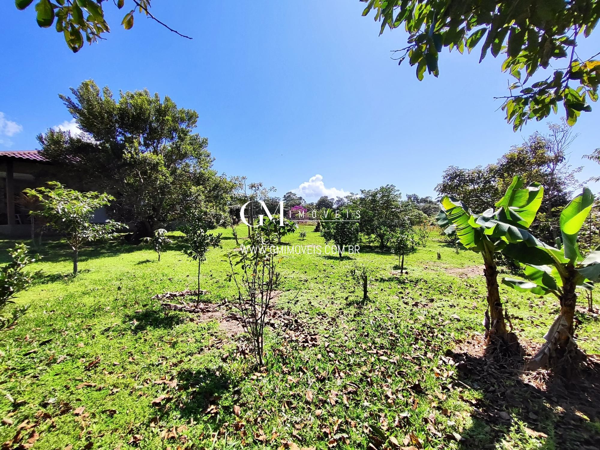Sítio à venda com 1 quarto, 133m² - Foto 26