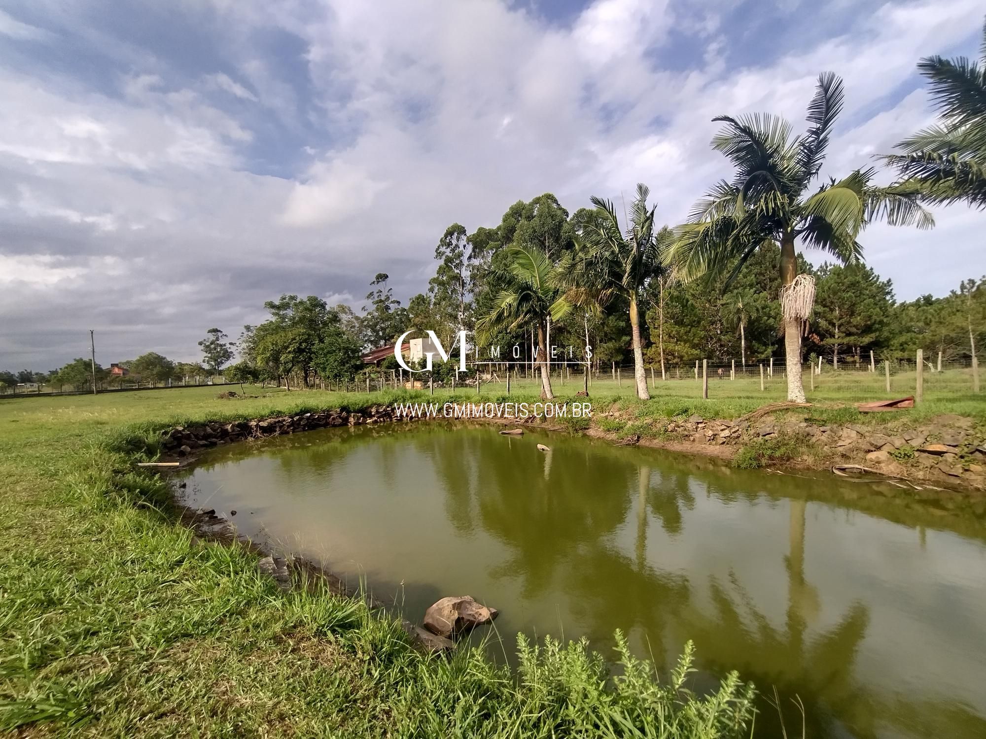 Sítio à venda com 2 quartos, 110000000m² - Foto 8