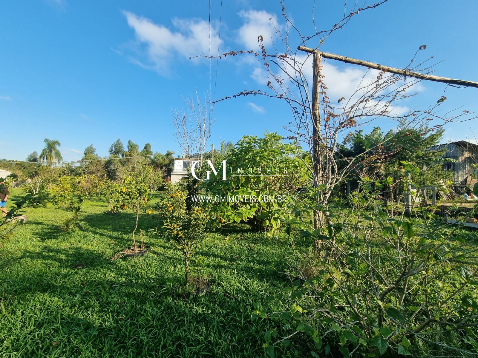 Sítio à venda com 4 quartos, 186000000000m² - Foto 4