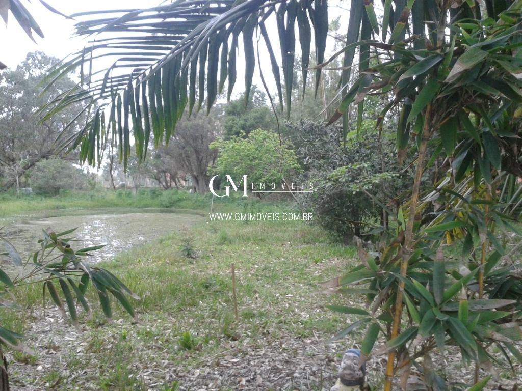 Sítio à venda com 3 quartos, 100000000m² - Foto 5