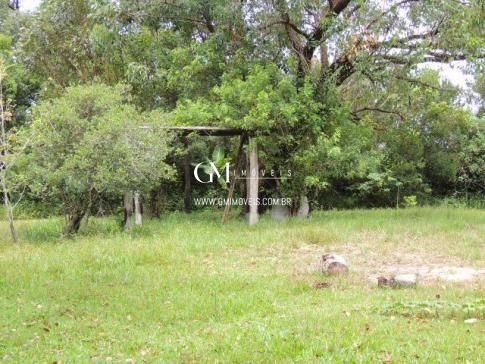 Sítio à venda com 3 quartos, 100000000m² - Foto 8
