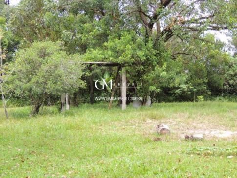 Fazenda à venda com 3 quartos, 100000000m² - Foto 8