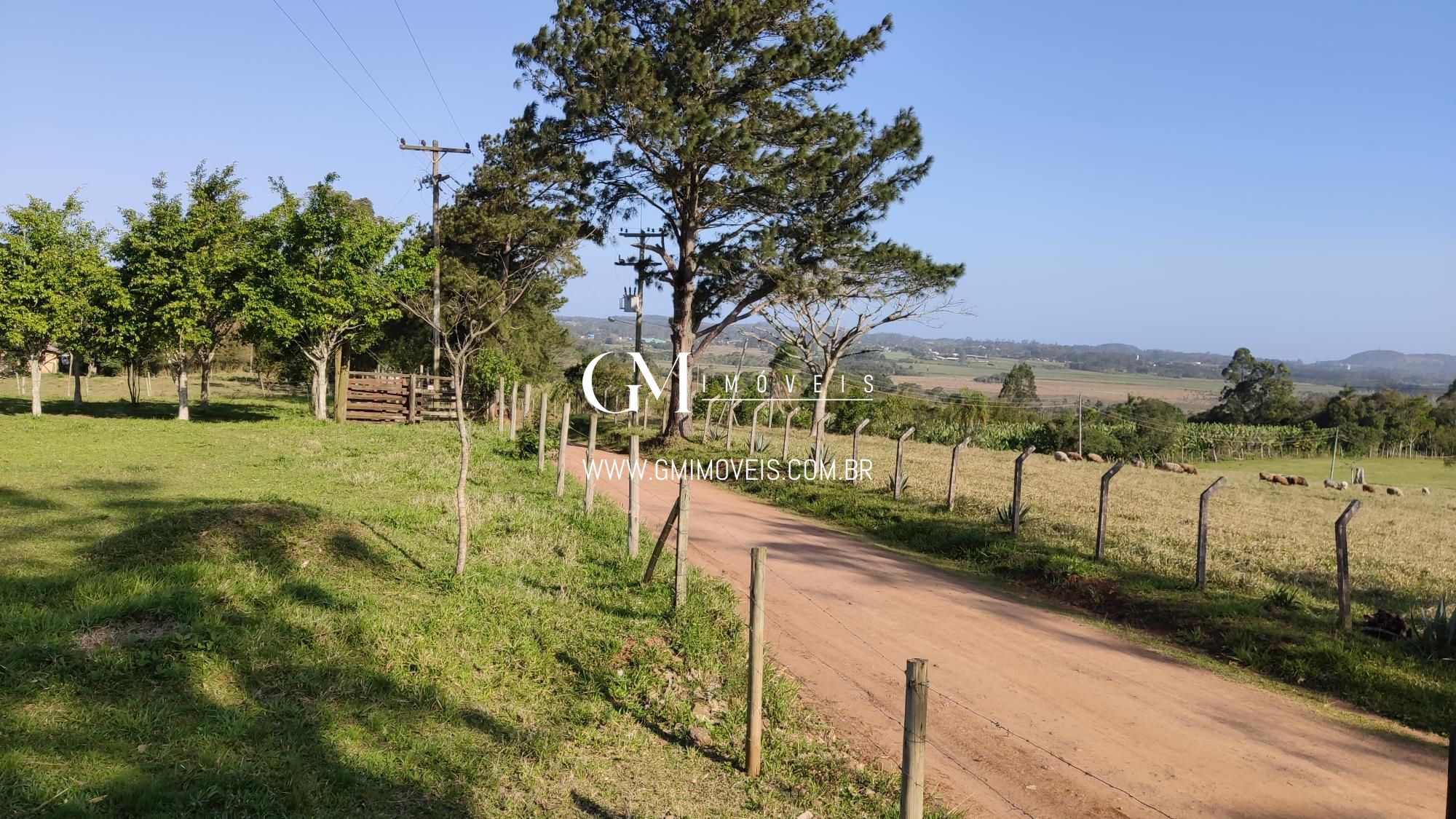 Fazenda à venda com 1 quarto, 240m² - Foto 2