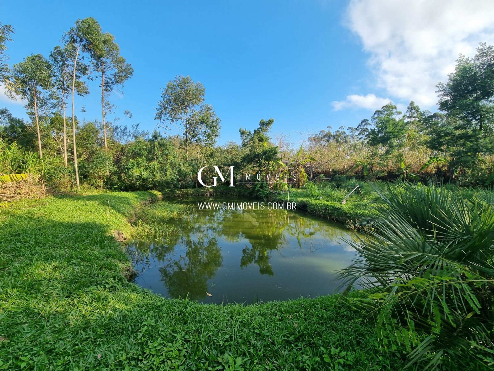Sítio à venda com 4 quartos, 186000000000m² - Foto 5