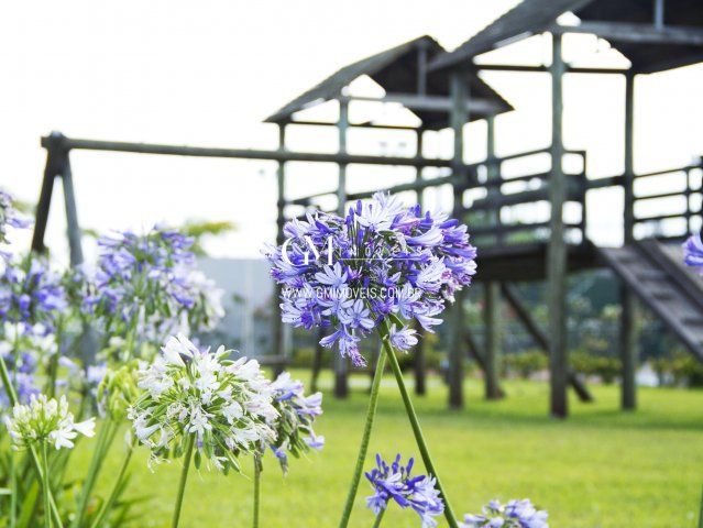 Terreno, 420 m² - Foto 15