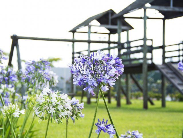 Terreno, 473 m² - Foto 11