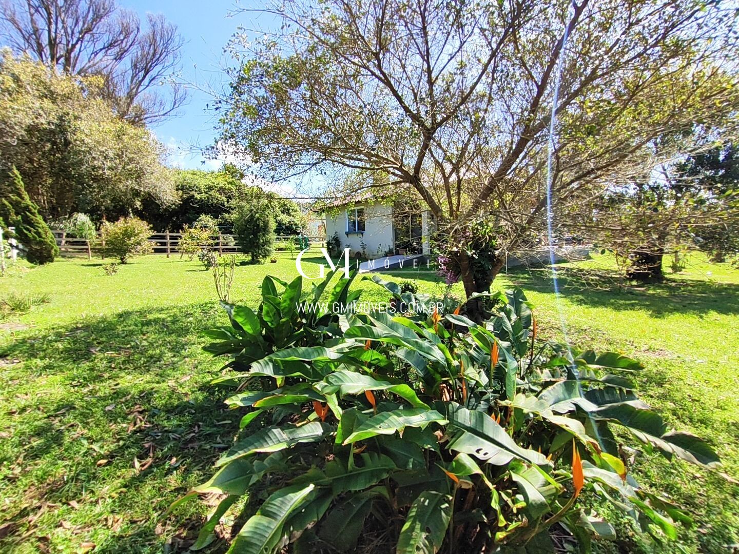 Sítio à venda com 1 quarto, 133m² - Foto 27