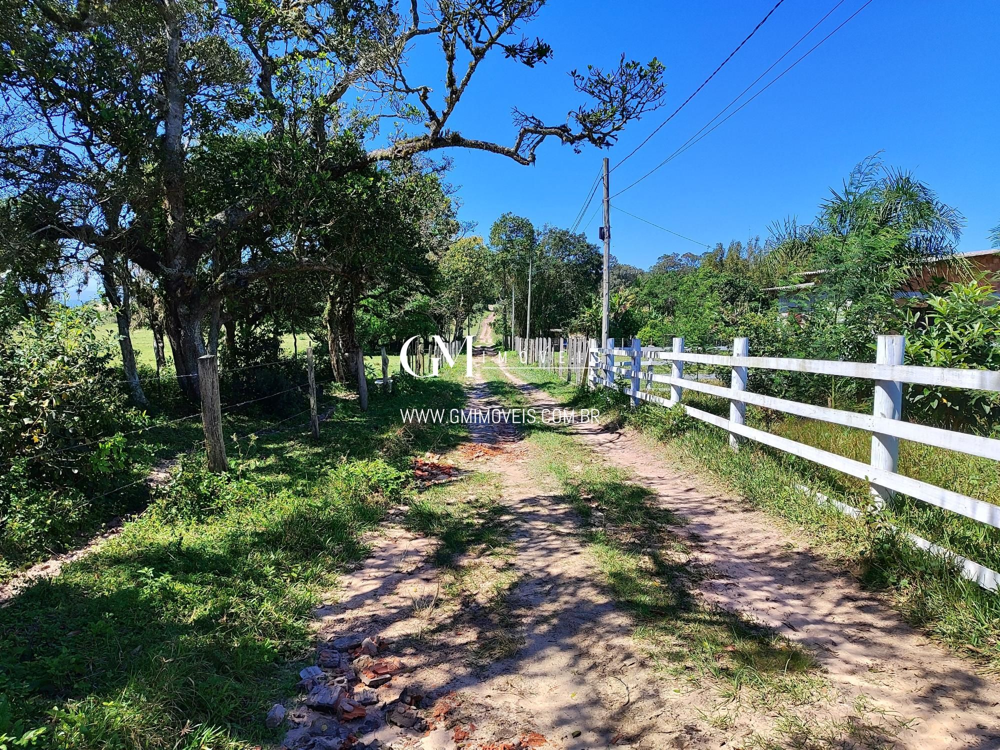 Fazenda à venda com 1 quarto, 133m² - Foto 62