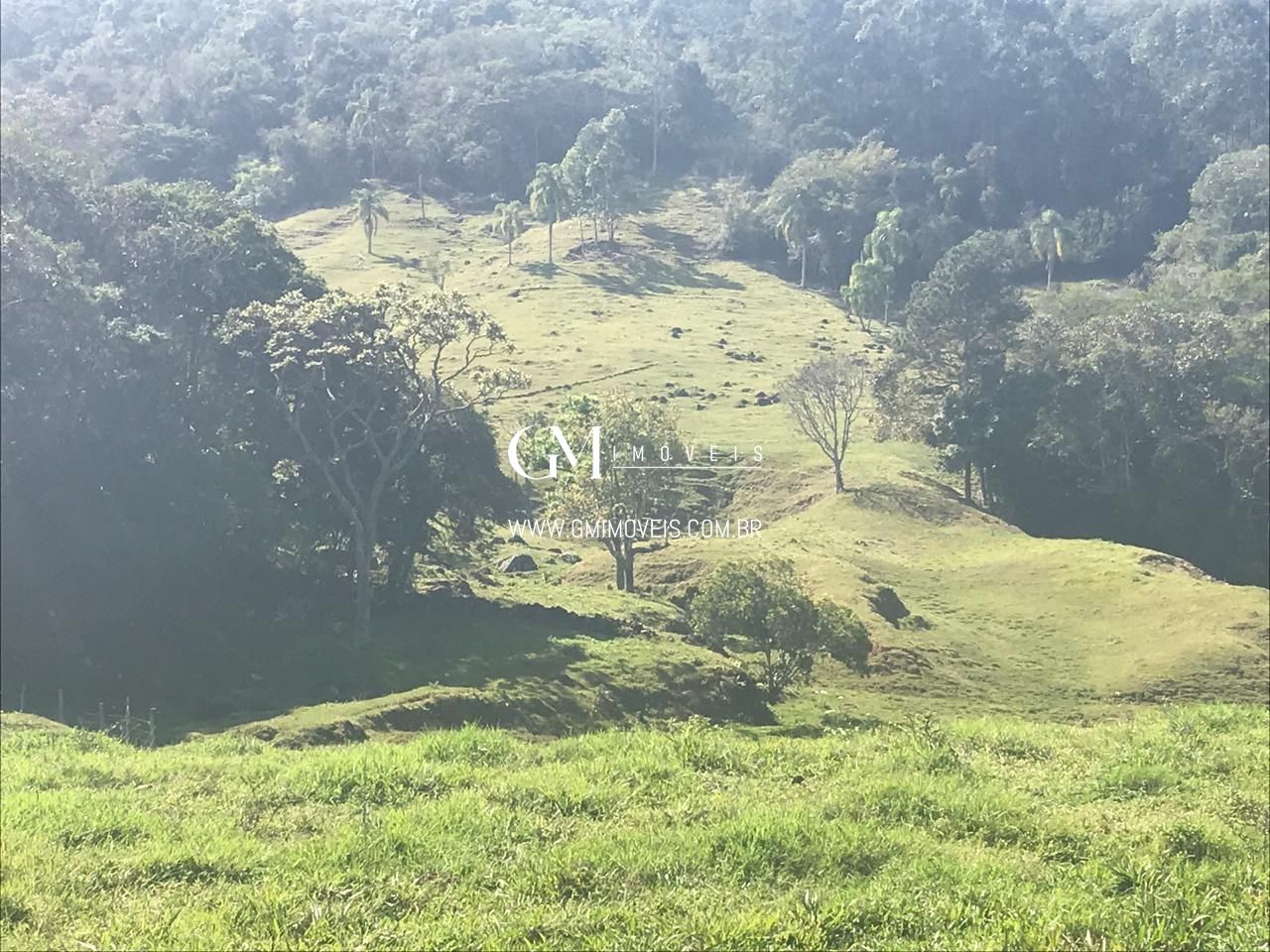 Fazenda à venda, 1350000000m² - Foto 9