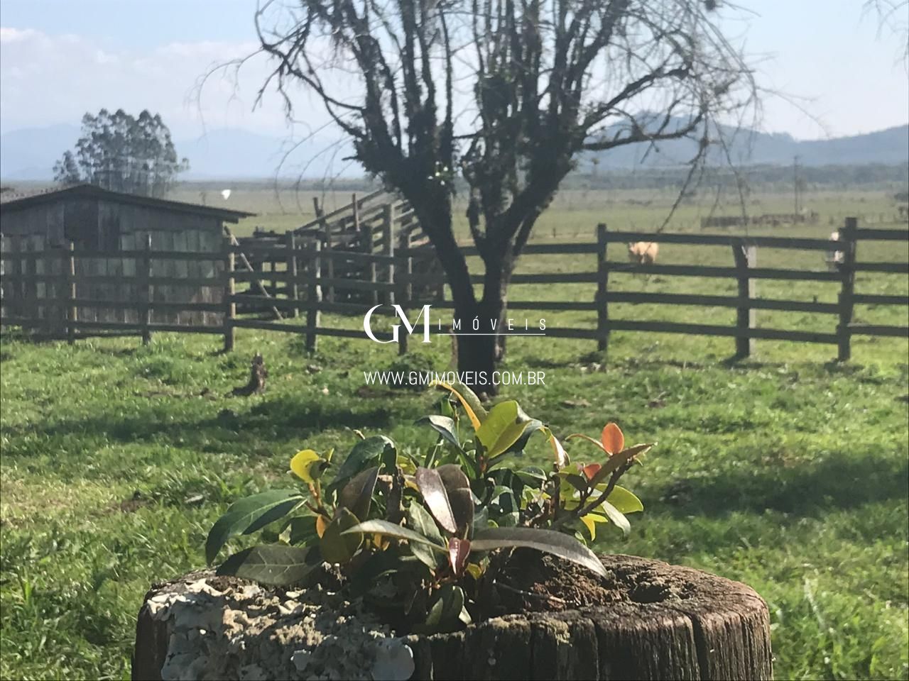 Fazenda/stio/chcara/haras  venda  no Zona Rural - Dom Pedro de Alcntara, RS. Imveis