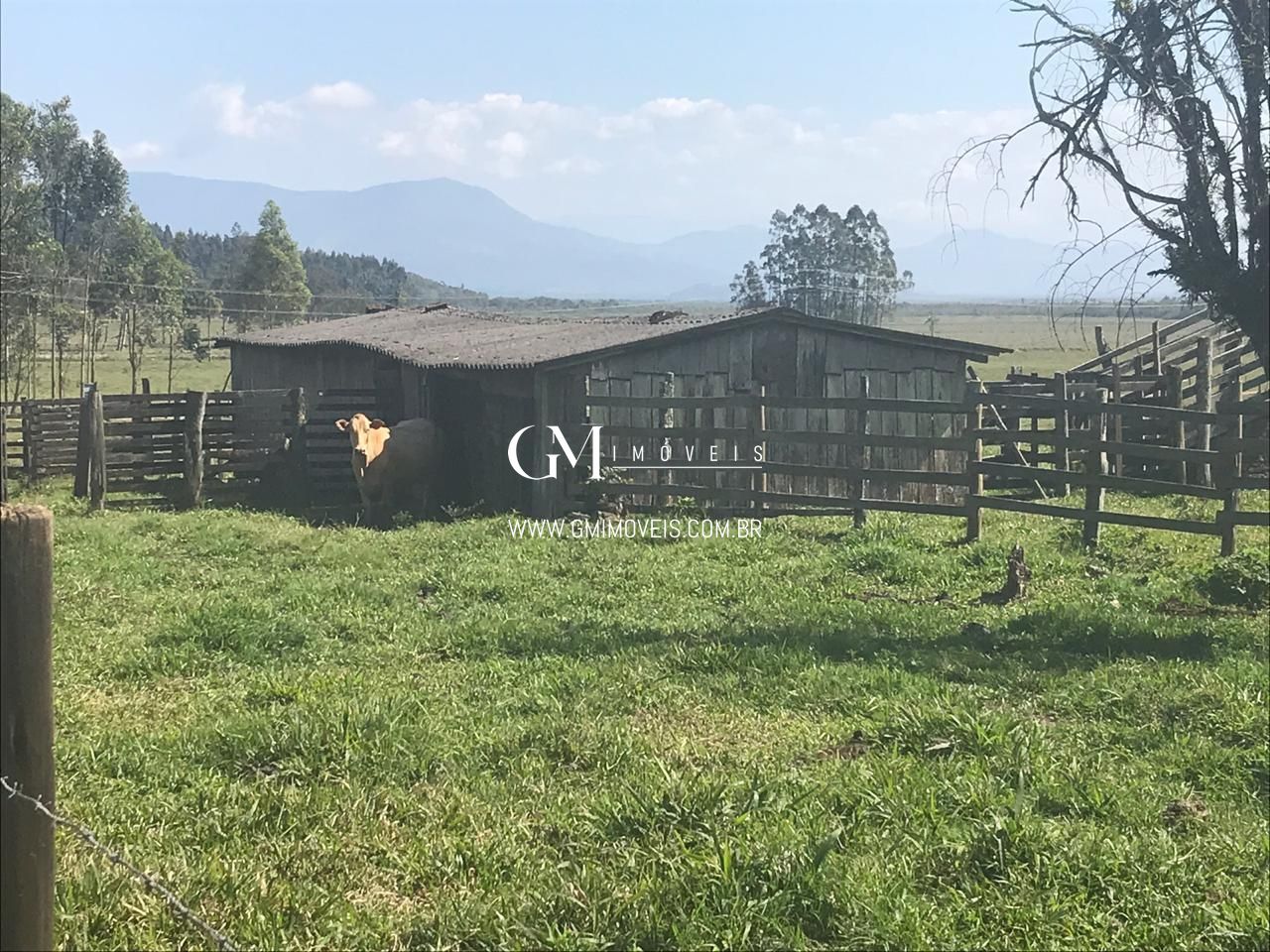 Fazenda à venda, 1350000000m² - Foto 13